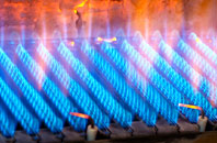 Elgol gas fired boilers